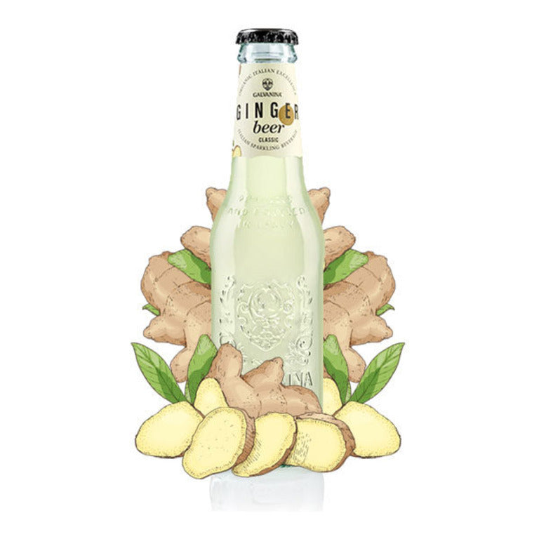 GALVANINA GINGER BEER 20CL. (24 pz)